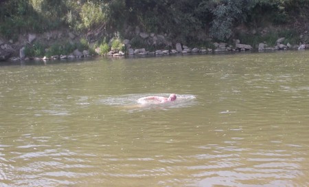 Chladenie účastníkov  Tankových dní Laugarício 2013 zabezpečoval Váh